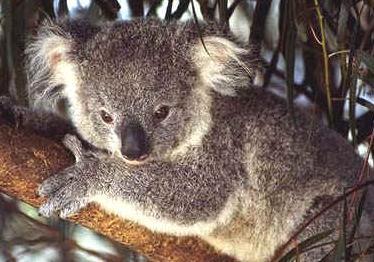 Сергей Рябков