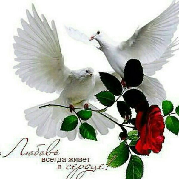 Дилбар Юльчиева