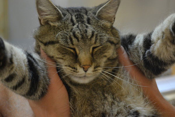 Вова Чернов