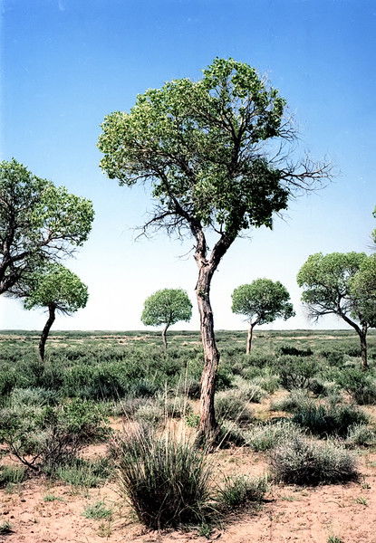 Департамент Экологии Г. Балхаш Гос. Инспекторы