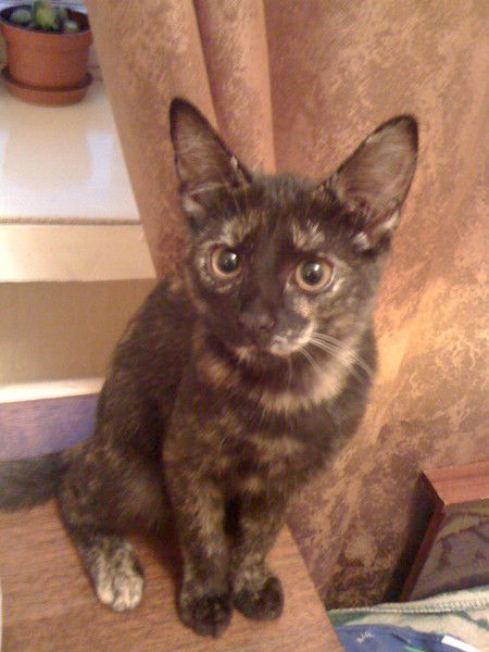 Анна Савельева