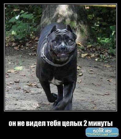 Руслан Гизитдинов