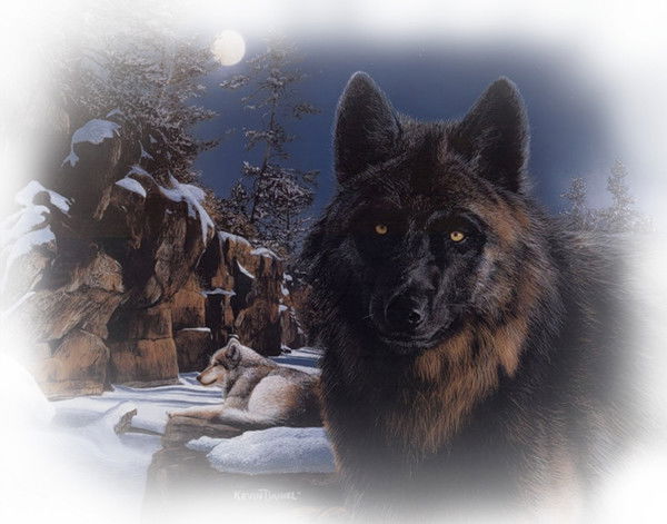 Марат Илларионович