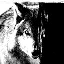 Андрей Волков