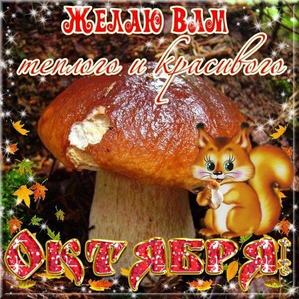 Гульнара Трофимова