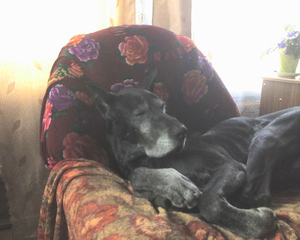 Мансур Гизатуллин