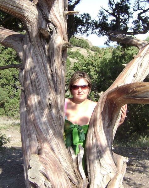 Светлана Вертеба