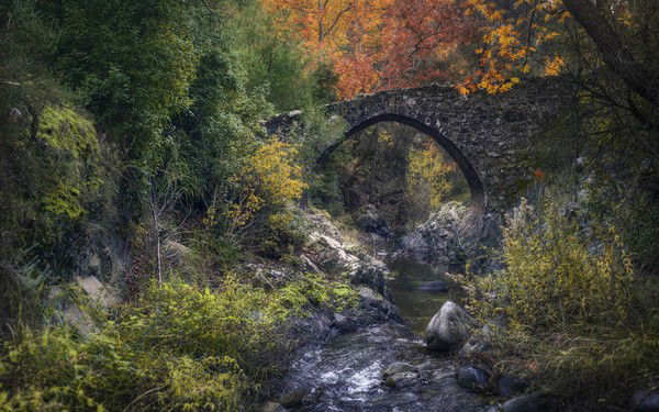 Зилия Гарипова