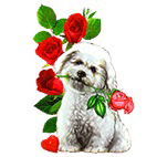 Людмила Костенко