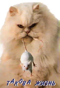 Александр Александр