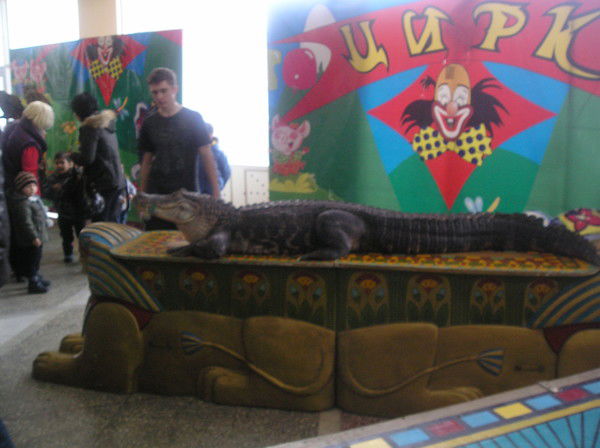 Максим Ладашин