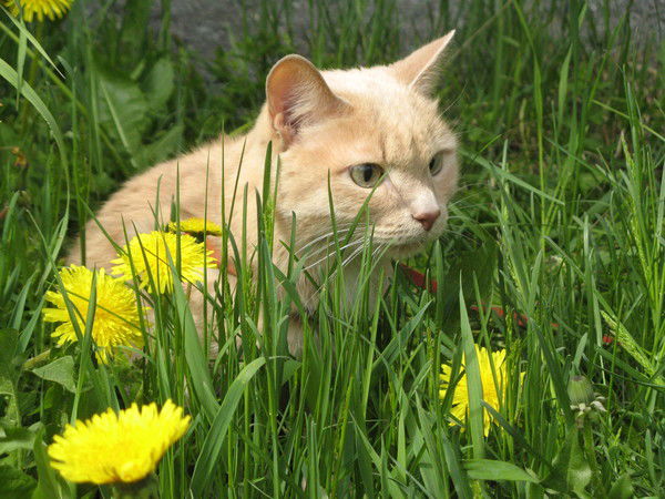 Евгения Жукова