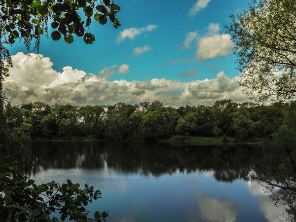 Татьяна Пожидаева