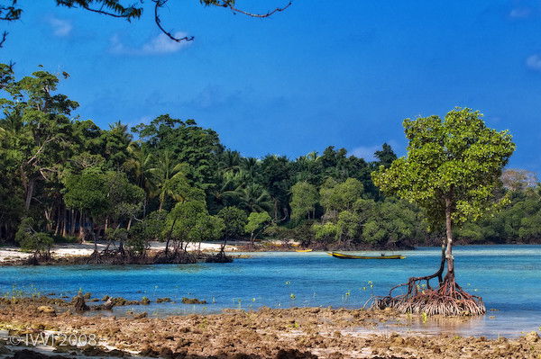 Zarrina Abdulvohidova