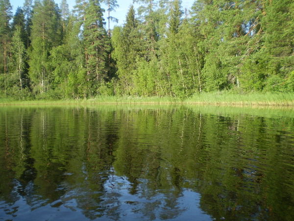 Александр Марков