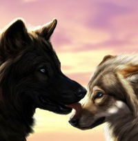 Олег Волков