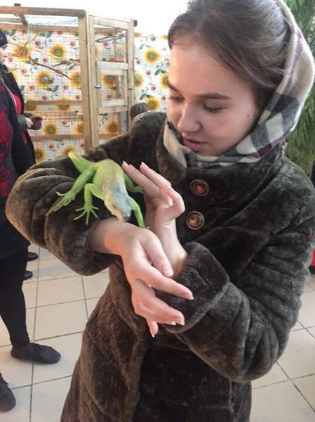 Анастасия Волкова