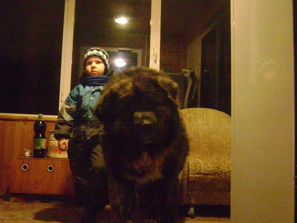 Владимир Соловьев