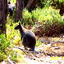 Татьяна Молева