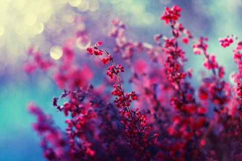 Кусочек Радуги