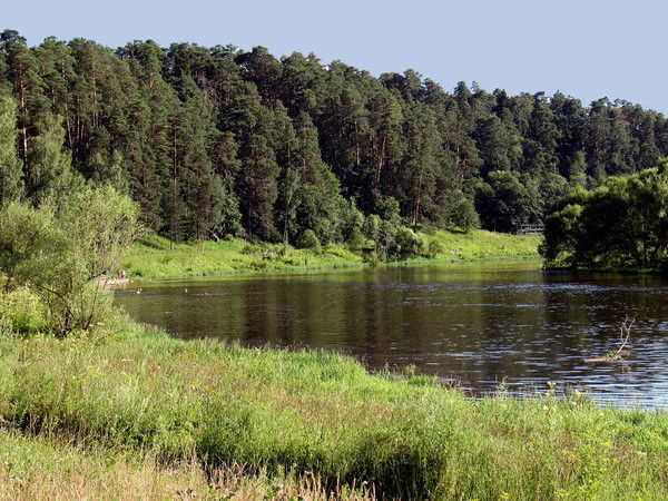 Артур Трокай