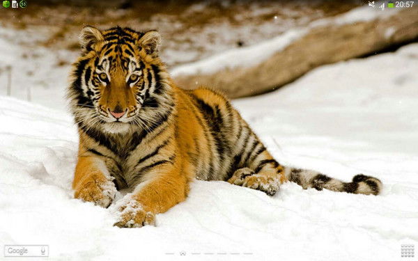 Анастасия Молодцова