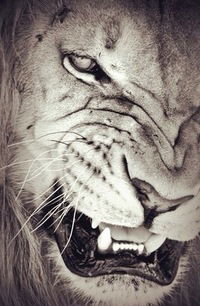 Илья Мокроусов