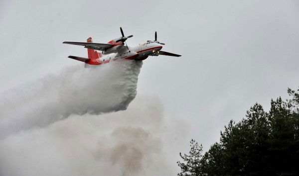 Владимир Леонов