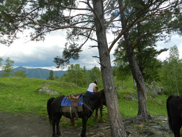 Таня Князева