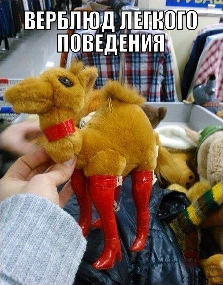 Наталья Шарапова