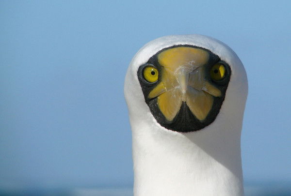 Гачковский Виктор