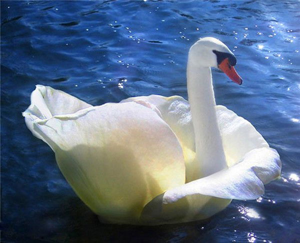 Люба Лебедева