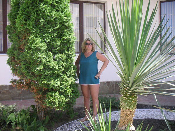 Алла Кузнецова