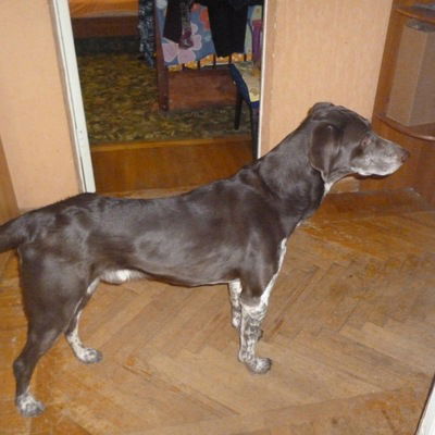 Катя Горобченко