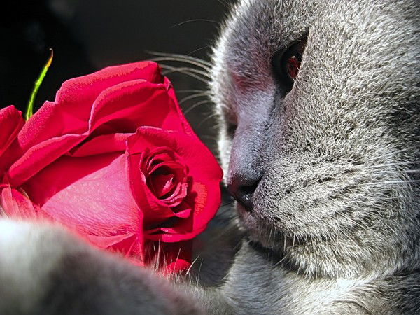 Мария Спиридонова