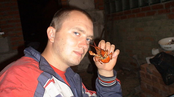 Александр Нижняк