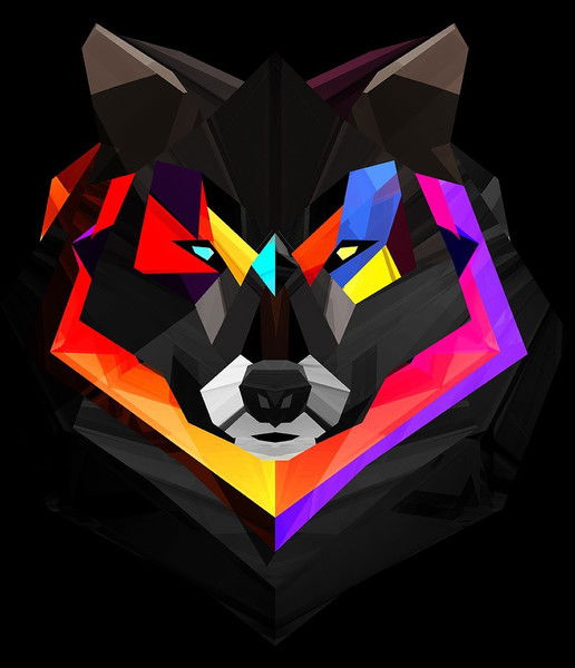 Владислав Волк