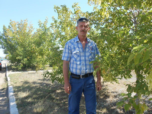 Александер Кулыба