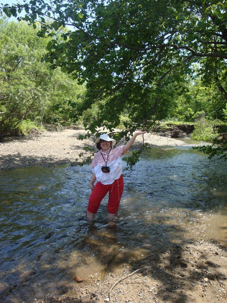 Екатерина Костенко