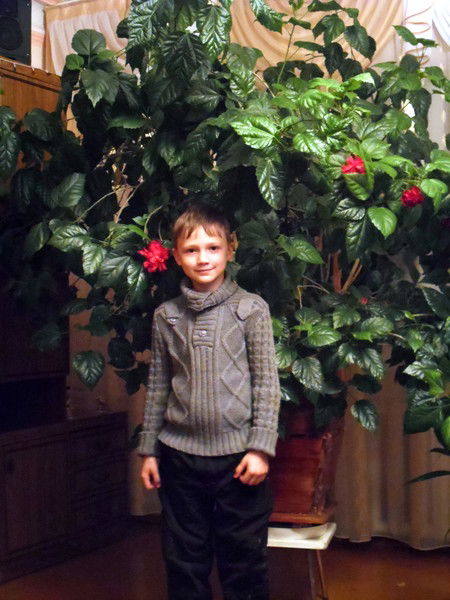 Павел Стрелков