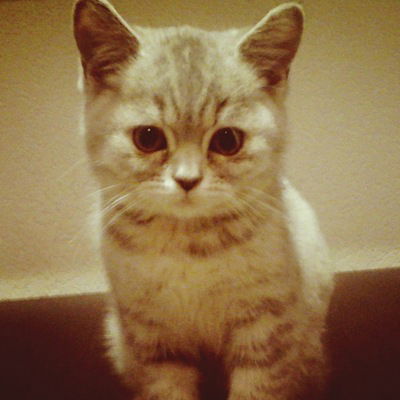 Камила Кушекпаева