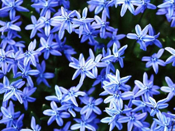 Ольга Николенко