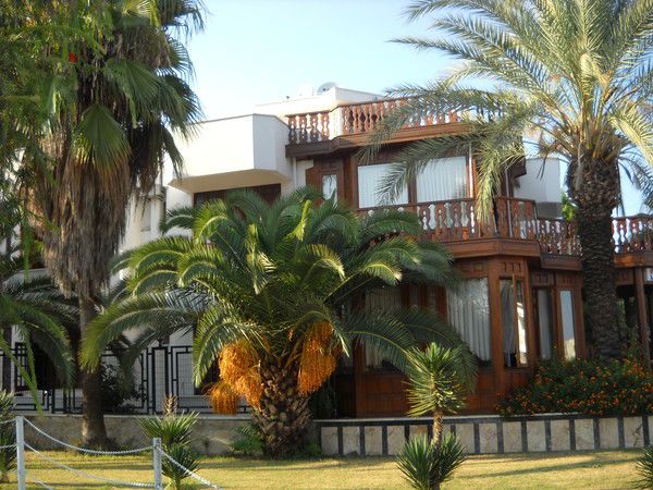 Наталья Звягинцева