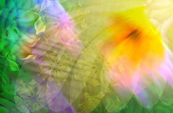 Наталья Бронник