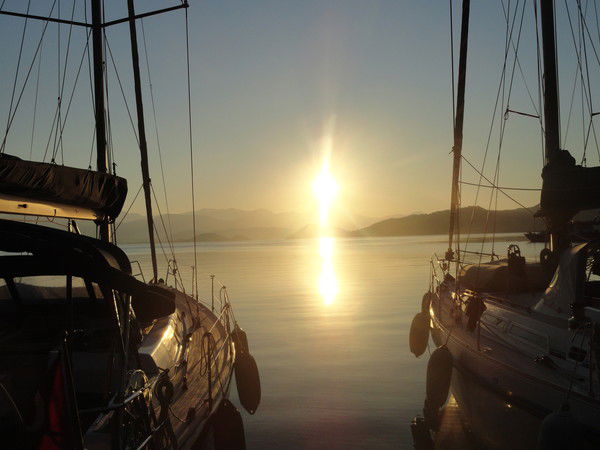 Александр Будник