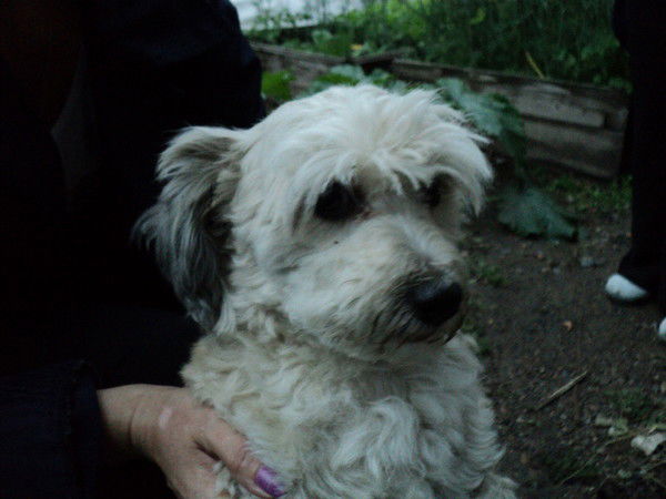 Евгений Рожков