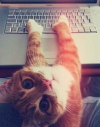 Раиса Кульченкова