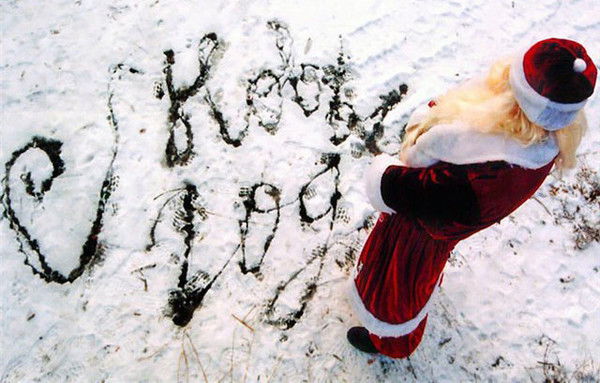 Дмитрий Заболоцкий