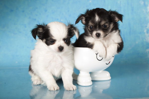 Лилия Савельева