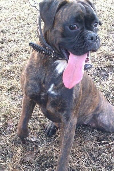 Юрий Павлов